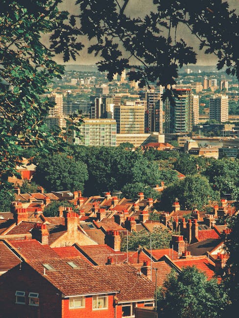 A cityscape viewed from an elevated position, with a foreground of red-brick residential rooftops featuring chimney stacks and a slate or terracotta finish. Surrounding the houses are numerous mature green trees with dense foliage, creating a natural boundary around the residential area. Beyond the trees, there is a cluster of mid-rise office buildings and apartment blocks constructed from glass, steel, and concrete, reflecting sunlight and displaying a modern architectural style. In the background, a skyline of taller high-rise buildings extends into the distance, indicating a bustling urban environment. Overhanging tree branches with dark green leaves partially frame the top of the image, adding depth to the scene. The lighting suggests a clear day with bright, natural sunlight illuminating the buildings and landscape. Although the scene does not explicitly depict rubbish or disposal activities, the density and arrangement of the urban area are typical of locations serviced by private waste clearance companies such as Waste Clearance Roehampton, offering alternative waste management solutions beyond traditional council rubbish collection.